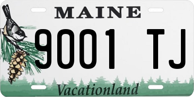 ME license plate 9001TJ