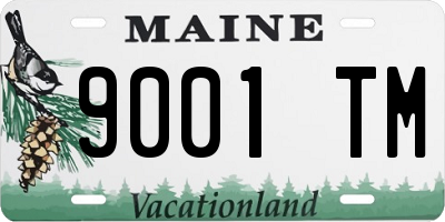 ME license plate 9001TM