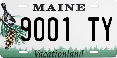 ME license plate 9001TY