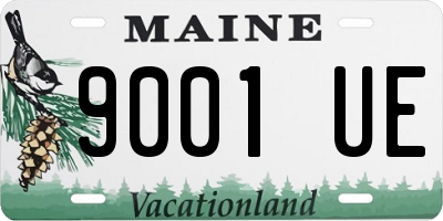 ME license plate 9001UE