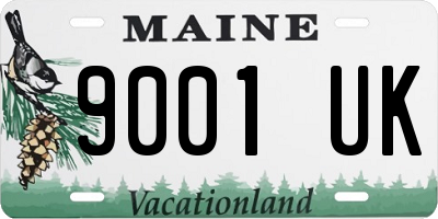 ME license plate 9001UK