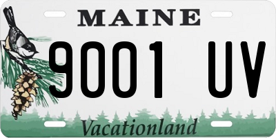 ME license plate 9001UV