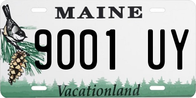 ME license plate 9001UY