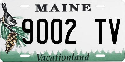 ME license plate 9002TV
