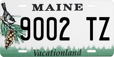 ME license plate 9002TZ