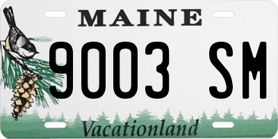 ME license plate 9003SM