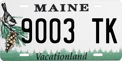 ME license plate 9003TK