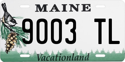 ME license plate 9003TL
