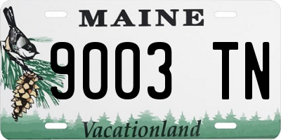ME license plate 9003TN