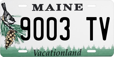 ME license plate 9003TV