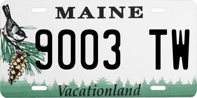 ME license plate 9003TW