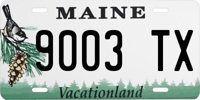 ME license plate 9003TX