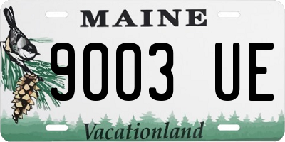 ME license plate 9003UE