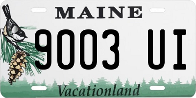 ME license plate 9003UI