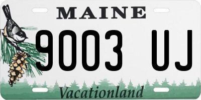 ME license plate 9003UJ