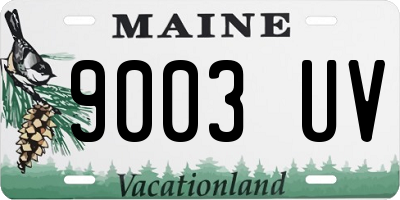 ME license plate 9003UV