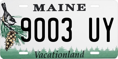 ME license plate 9003UY