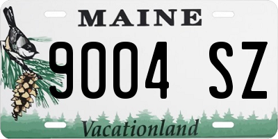 ME license plate 9004SZ