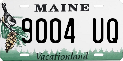 ME license plate 9004UQ