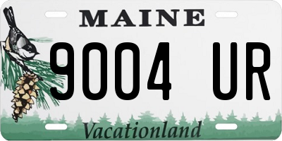 ME license plate 9004UR