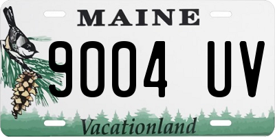 ME license plate 9004UV