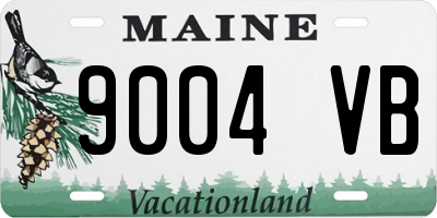 ME license plate 9004VB