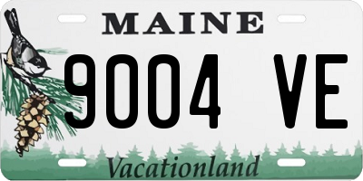 ME license plate 9004VE