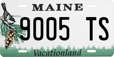 ME license plate 9005TS