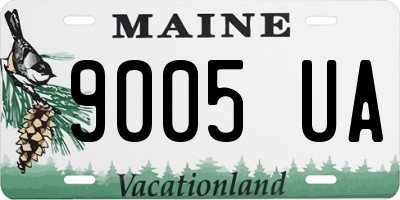 ME license plate 9005UA