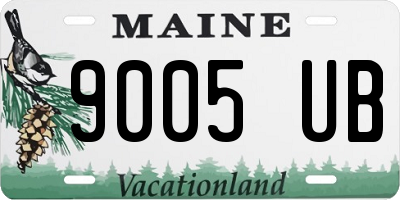 ME license plate 9005UB