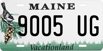 ME license plate 9005UG