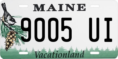 ME license plate 9005UI