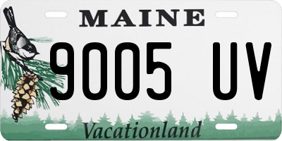 ME license plate 9005UV