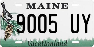 ME license plate 9005UY