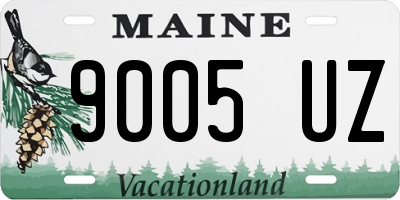 ME license plate 9005UZ