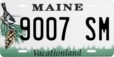 ME license plate 9007SM