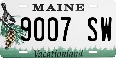 ME license plate 9007SW