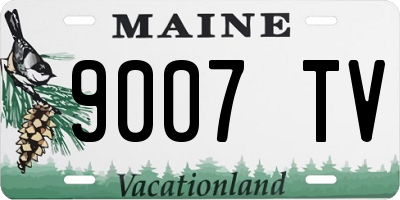 ME license plate 9007TV
