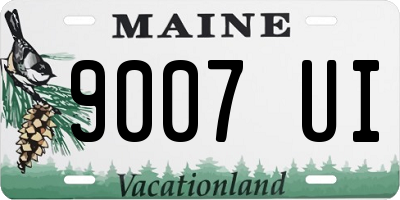 ME license plate 9007UI