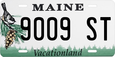 ME license plate 9009ST