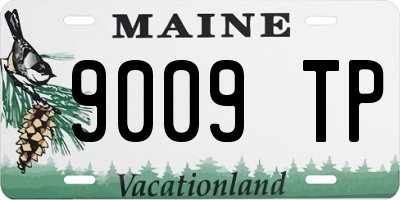 ME license plate 9009TP