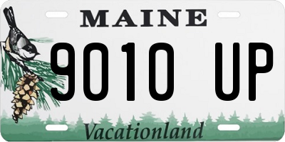 ME license plate 9010UP