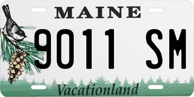 ME license plate 9011SM