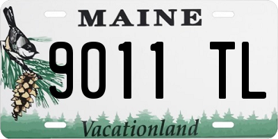 ME license plate 9011TL