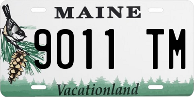 ME license plate 9011TM