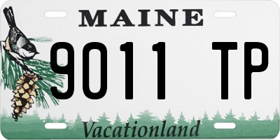 ME license plate 9011TP