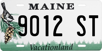 ME license plate 9012ST