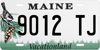 ME license plate 9012TJ