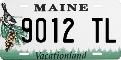 ME license plate 9012TL