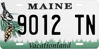 ME license plate 9012TN